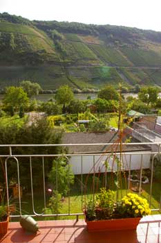 Urlaub an der Mosel - Urlaub in Briedel an der Mosel