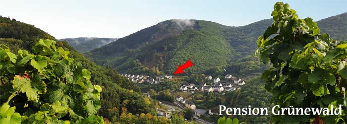 Ruhige Lage Haus Grnewald in Zell an der Mosel