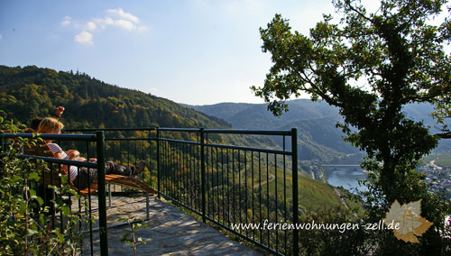 Steilpfad Klettersteig Zell Mosel